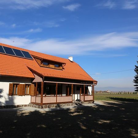 Ezüstfenyő Agroturisztikai Panzió Hotel Borzont Kültér fotó