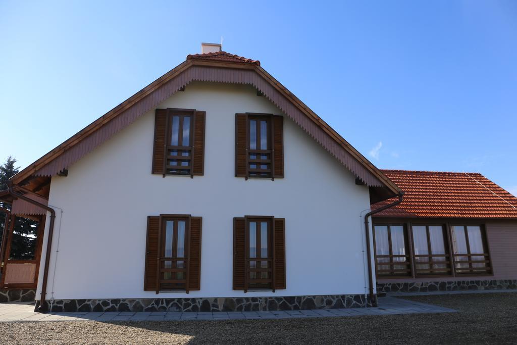 Ezüstfenyő Agroturisztikai Panzió Hotel Borzont Kültér fotó