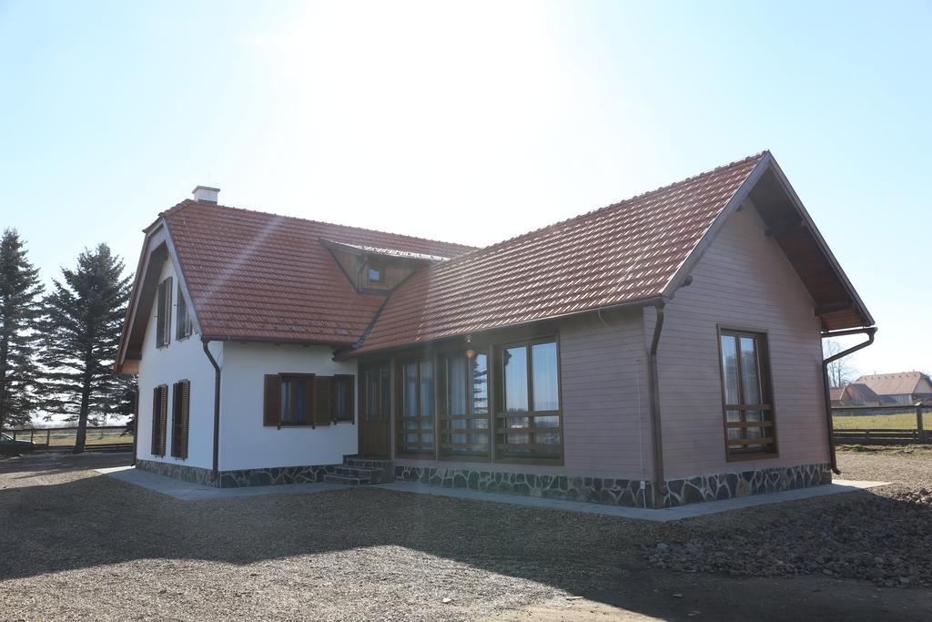 Ezüstfenyő Agroturisztikai Panzió Hotel Borzont Kültér fotó